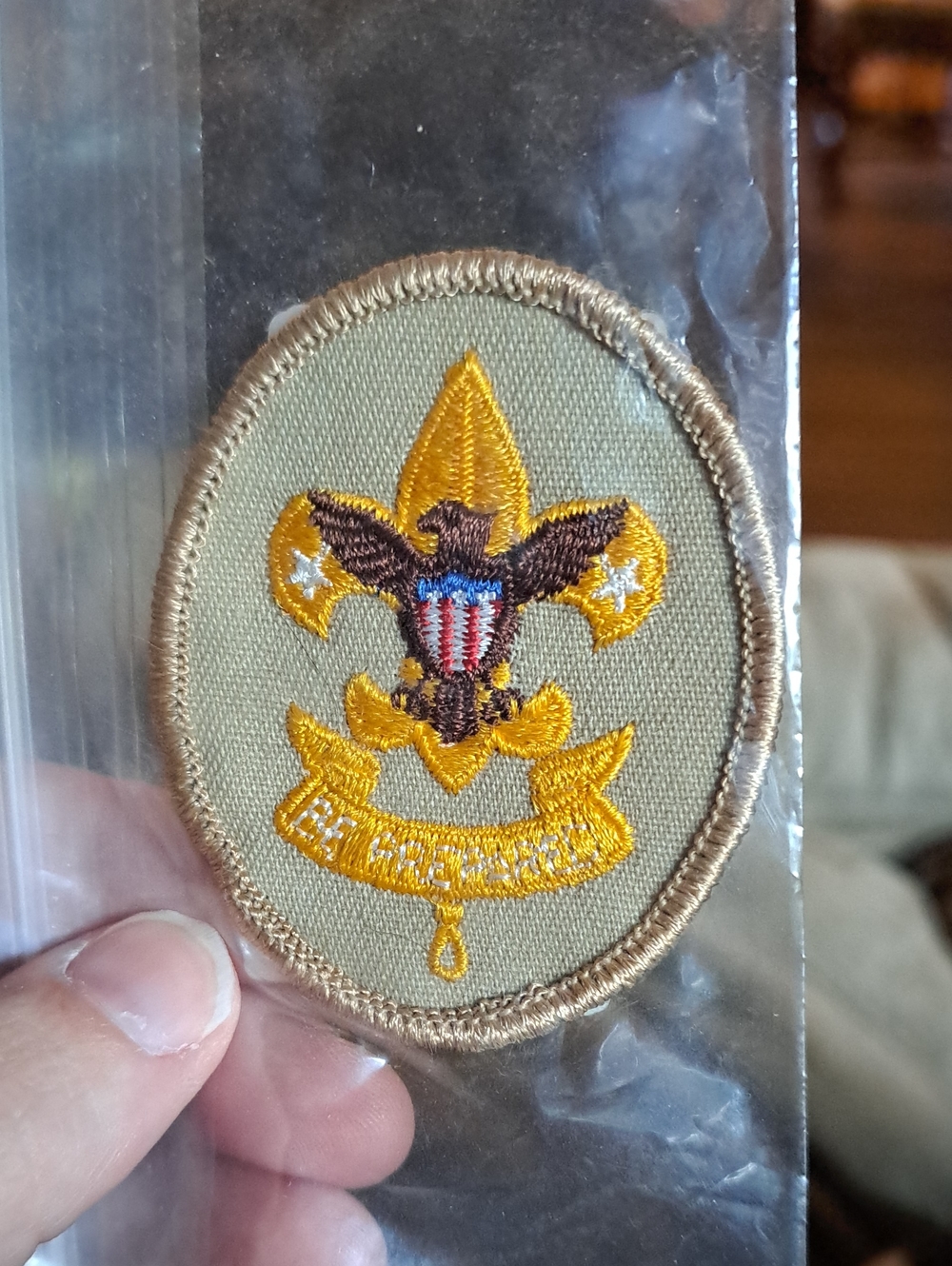 Vintage Boy Scouts Of America Patch